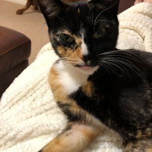 Meet your Posher, Martha